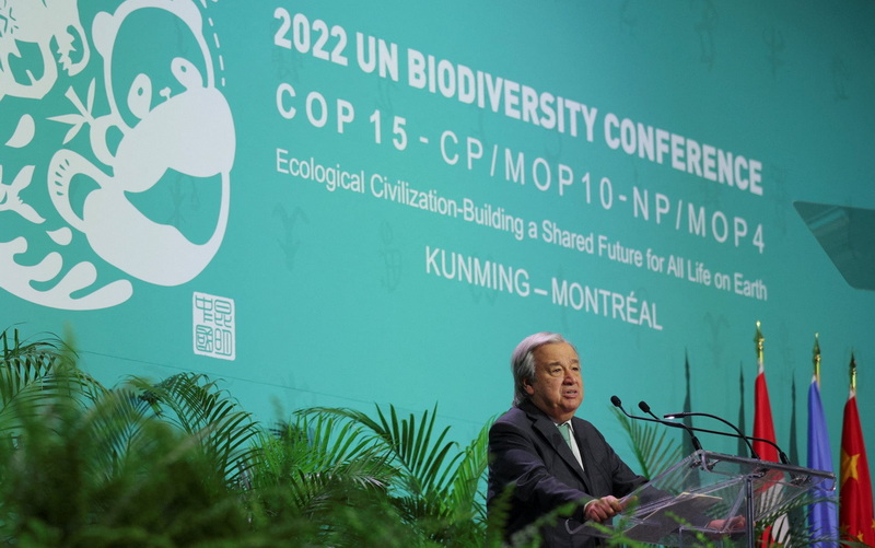 COP 15 và tham vọng về bảo tồn đa dạng sinh học trong thập kỷ tới