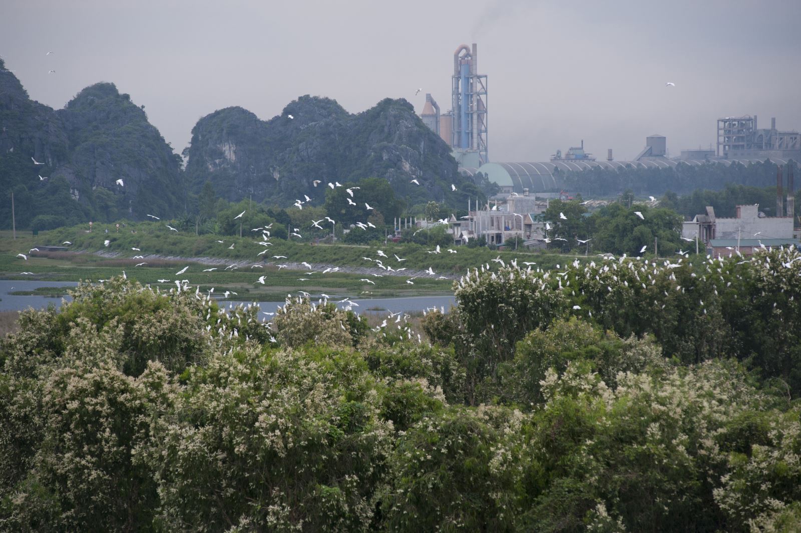 Công bố 04 thủ tục hành chính mới ban hành trong lĩnh vực biến đổi khí hậu thuộc phạm vi chức năng quản lý nhà nước của Bộ Tài nguyên và Môi trường