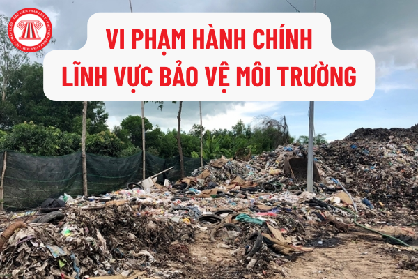 Chính phủ ban hành Nghị định mới về xử phạt vi phạm hành chính trong lĩnh vực bảo vệ môi trường