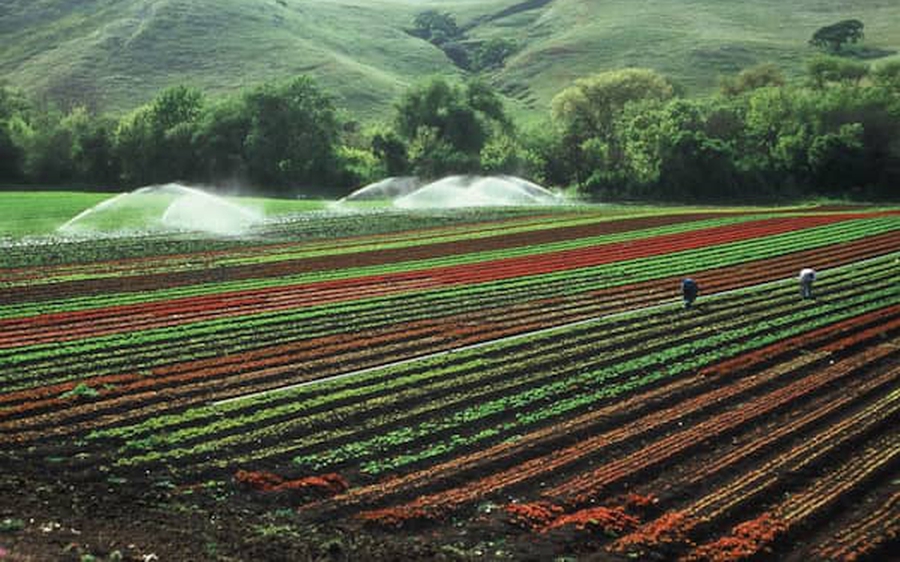 Dự thảo Luật Đất đai sửa đổi: Bổ sung quy định về ngân hàng đất nông nghiệp