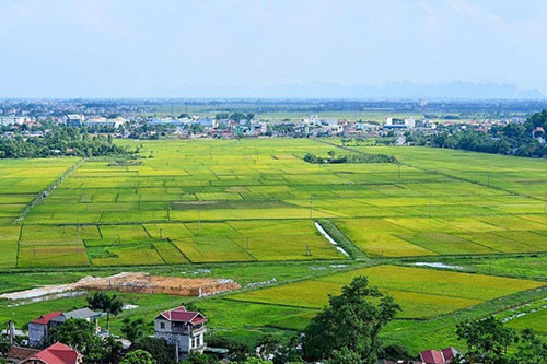 Điều kiện chuyển mục đích sử dụng đất trồng lúa