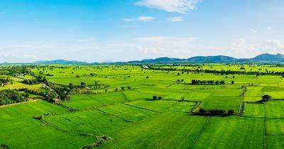 Ban hành quy định về thống kê, kiểm kê đất đai
