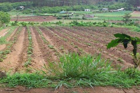 Hoàn thiện dự thảo Nghị định quy định về thu tiền sử dụng đất