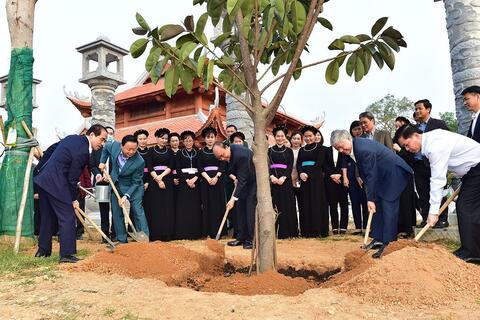 Bộ TN&MT triển khai Đề án phục hồi, phát triển hệ thống cây xanh nhằm ứng phó tình trạng khẩn cấp về BĐKH, ô nhiễm môi trường