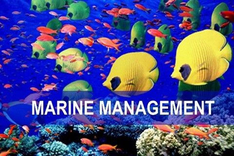 BẢO VỆ MÔI TRƯỜNG BIỂN