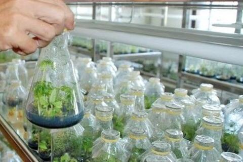 Thúc đẩy hoạt động thẩm định hồ sơ cấp phép tiếp cận nguồn gen