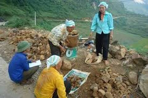 Khoanh định khu vực có khoáng sản phân tán, nhỏ lẻ