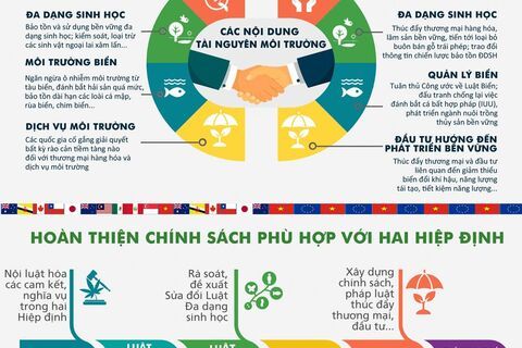 Thực hiện các cam kết FTA liên quan đến tài nguyên và môi trường