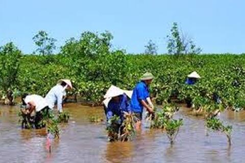 Trình Thủ tướng ban hành Bộ tiêu chí xác định các dự án, nhiệm vụ thích ứng với BĐKH và đánh giá hiệu quả của các hoạt động thích ứng với BĐKH