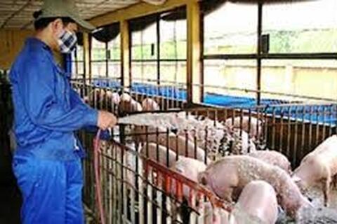 Đề nghị xem xét lại quy chuẩn kỹ thuật quốc gia nước thải chăn nuôi
