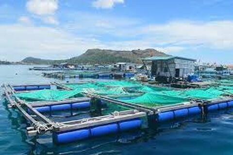 Nghiên cứu tham mưu điều chỉnh Nghị định số 51/2014/NĐ-CP ngày 21/5/2014 của Chính phủ cho phù hợp với với Luật Tài nguyên, môi trường biển và hải đảo