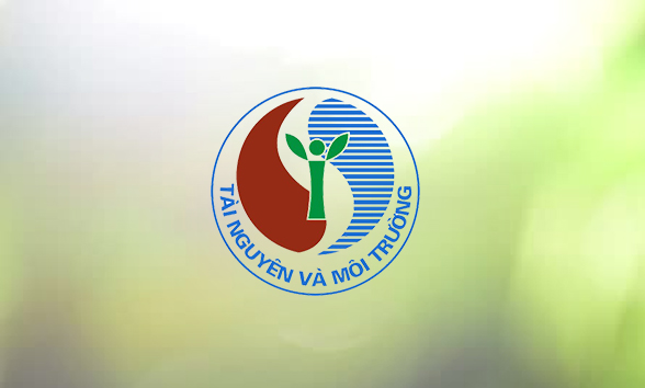 Cấp Giấy chứng nhận đối với trường hợp không có giấy tờ về quyền sử dụng đất tại Điều 20 Nghị định số 43/2014/NĐ-CP của Chính phủ